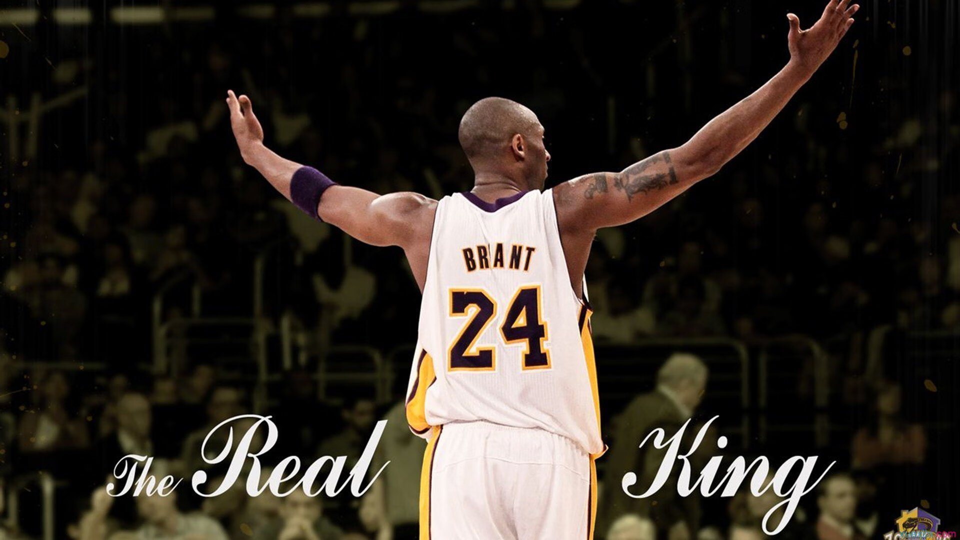 日本武道大会盛大举行，传统文化焕发新活力，日本武道馆